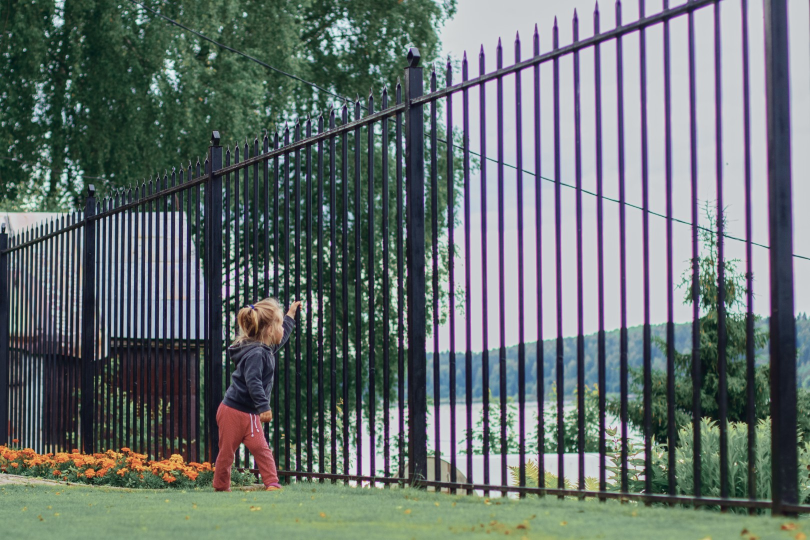 Girl look through fence on blue background, quarantine, suburb